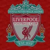 zsb_lfc