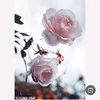 user93207666155590