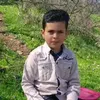 lawey.zebary