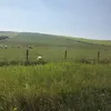 jasperedgeee