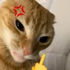daisy_meadows321