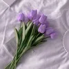 _miss_violette_