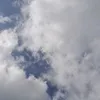 nzontopcuz