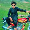 hamidafried313