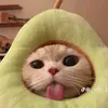 nafishh__22