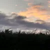 charlie.cienna1