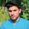 arifmalkal