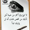 aboyoucef598