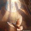 mohammed.gosa