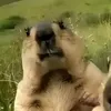 yourrrmarkkk