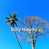 billykolec
