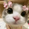 ballerina_llahhhh