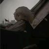 sunkissedd_4