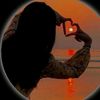 fariya79335