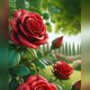 riazkhokhar100200g8