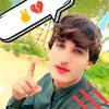 .f.s..gulli