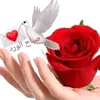 user8137479268311