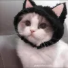 nobodytitan1