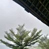 gbutorang