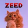 zeedqutoes2