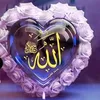 user8116255448005