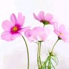 user2123718815300