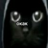 user7250662941558