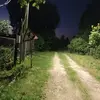 lililzjuvvb