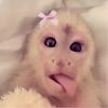 karlalpu7py