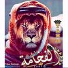 user78681702841535