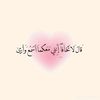 habibamohamed4879