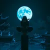 dani_gaming65
