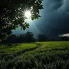 sshgfd1