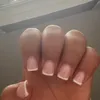 maiop432