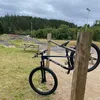 harryroberts658