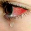user25087301271173