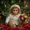 Funny Monkey Talking