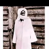 baye.le.pro.1950