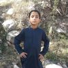 tanveerali256king