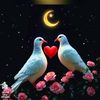 user11988612150546