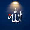 thelivequran1