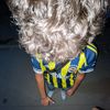 yahia_.213_