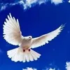 khan.ahmad.naser