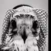 『 نـجم |1000K⌛️⌛️ 』