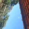 geovana_vl