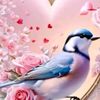ayoub.amuir