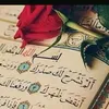 user194409418