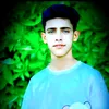 .pasm..mhmod.2010