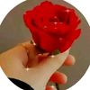 user2343882531976