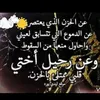 user9371675406346